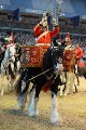 Cavalry - 00307